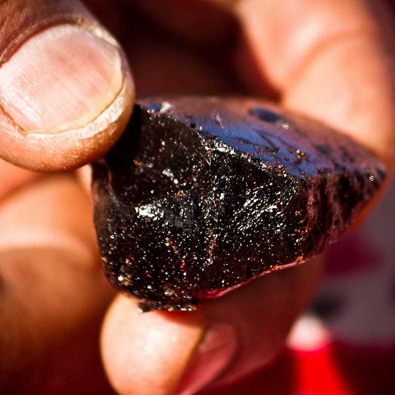 30+ Days of Taking Shilajit — Here’s My Brutally Honest Review