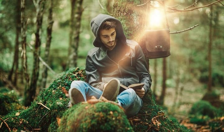 Young hooded man reading in a forest