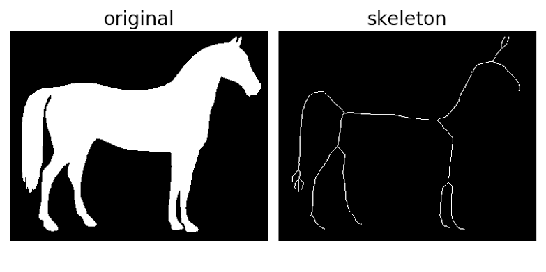 Skeletonization in Python using OpenCV
