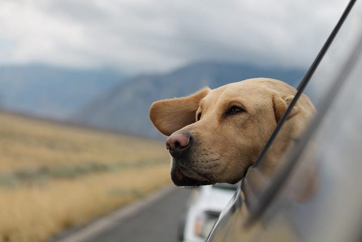 The Actual Key to A Stress-Free, Anxiety-Less and Happy Life