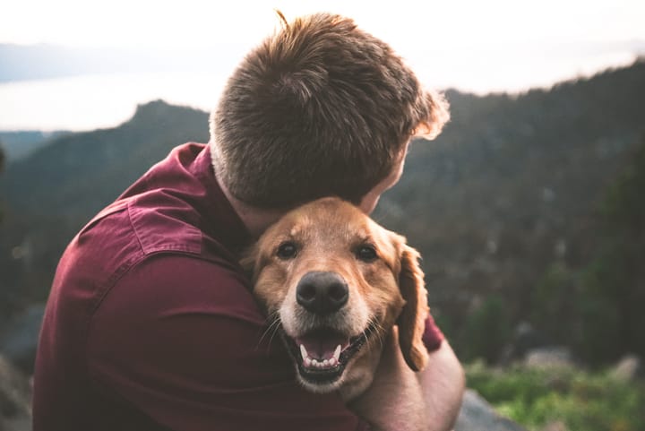 I Was Wrong About Happiness All My Life