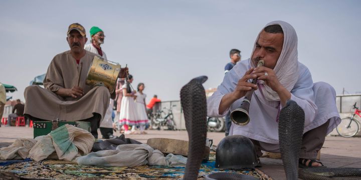 3 Simple yet Powerful Life Lessons From an Age-Old Snake Charmer