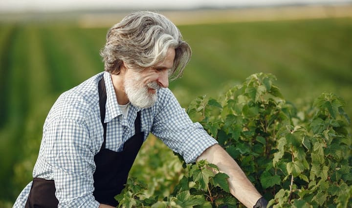 An Underrated Habit to Help You Lead a Happier and More Fulfilled Life