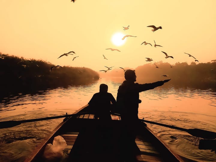 Beautiful image of boating towards the rising sun and flying birds